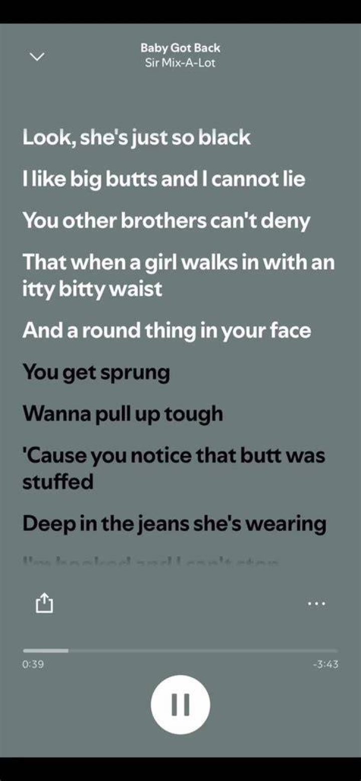 Ass big as texas and i heard she got that snap back lyrics