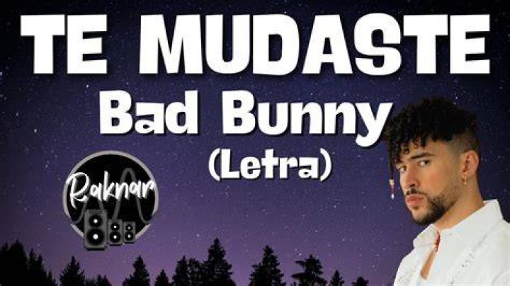 Bad Bunny TE MUDASTE Lyrics English Translation