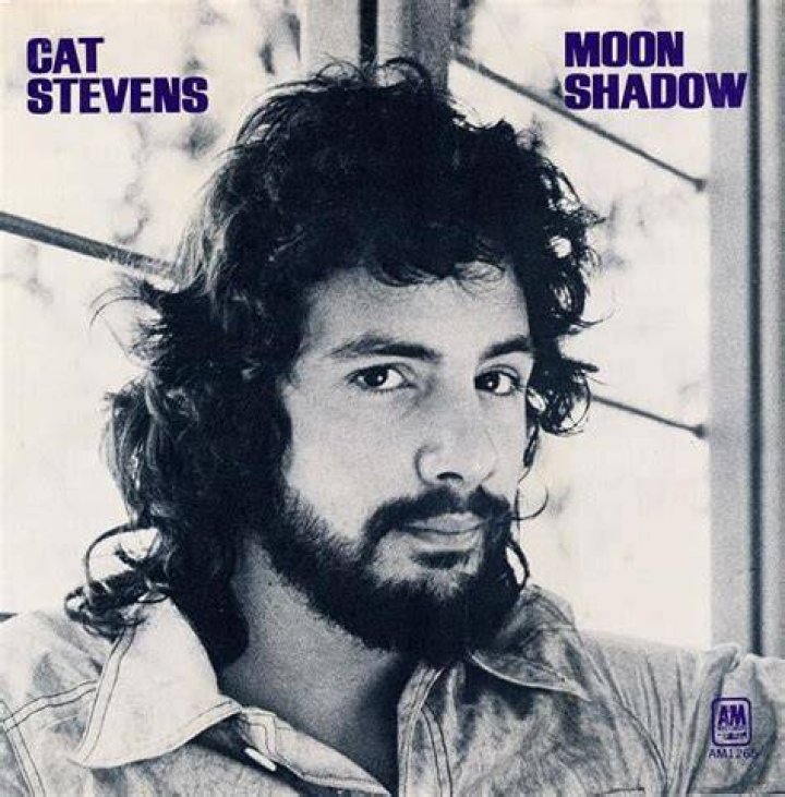 Cat Stevens - Moonshadow Lyrics Meaning