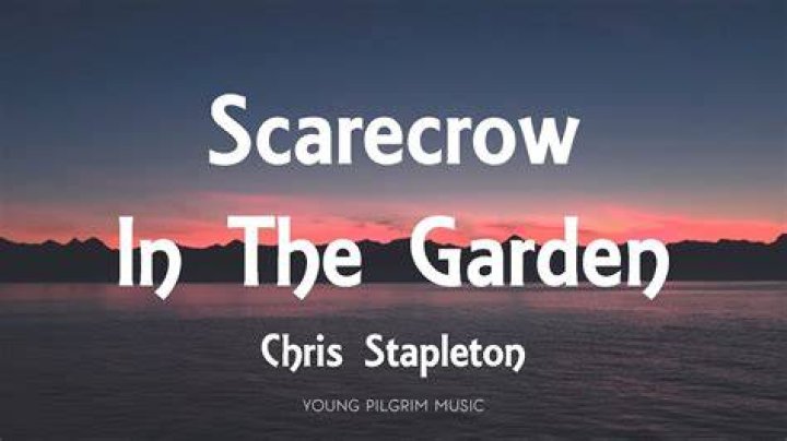 Chris Stapleton - Scarecrow In The Garden Lyrics Meaning