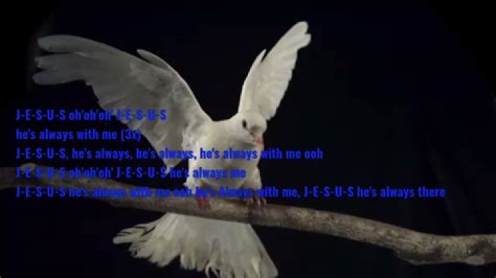 Confidence video lyrics