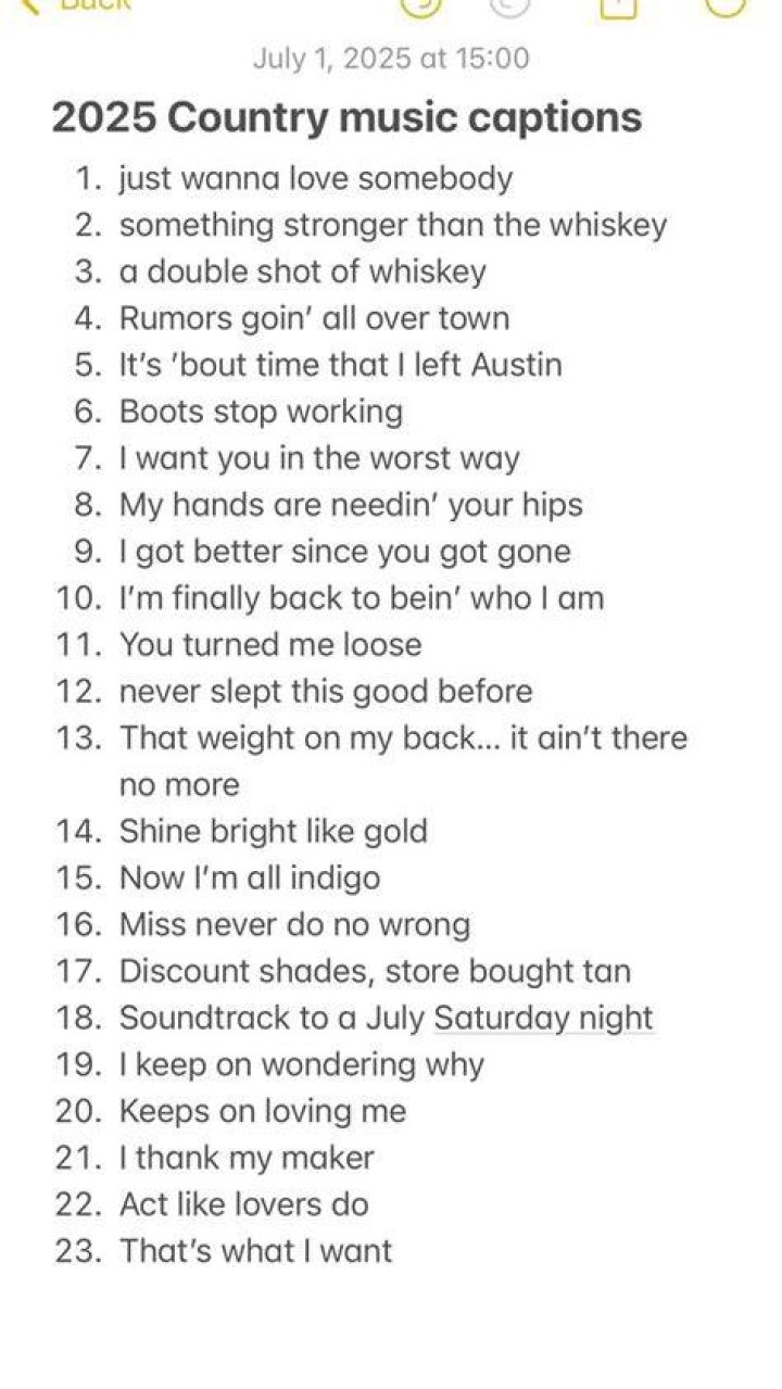 Country song sitting at the bar lyrics