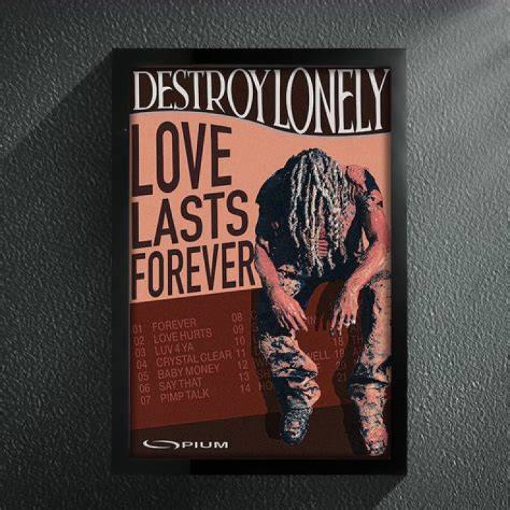 Destroy lonely love the feelin lyrics