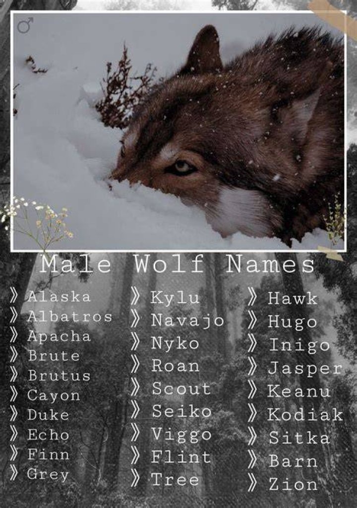 Different Names