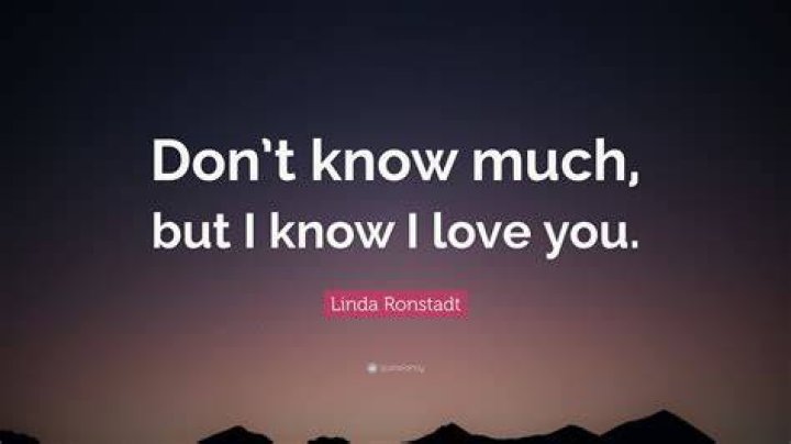 Don’t you know how much i love you lyrics