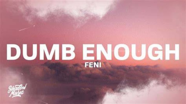 Dumb enough 2 feni lyrics