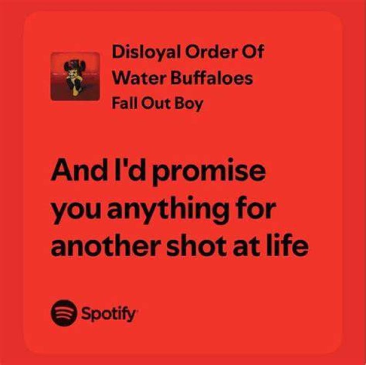 Fall Out Boy - Disloyal Order of Water Buffaloes Lyrics Meaning