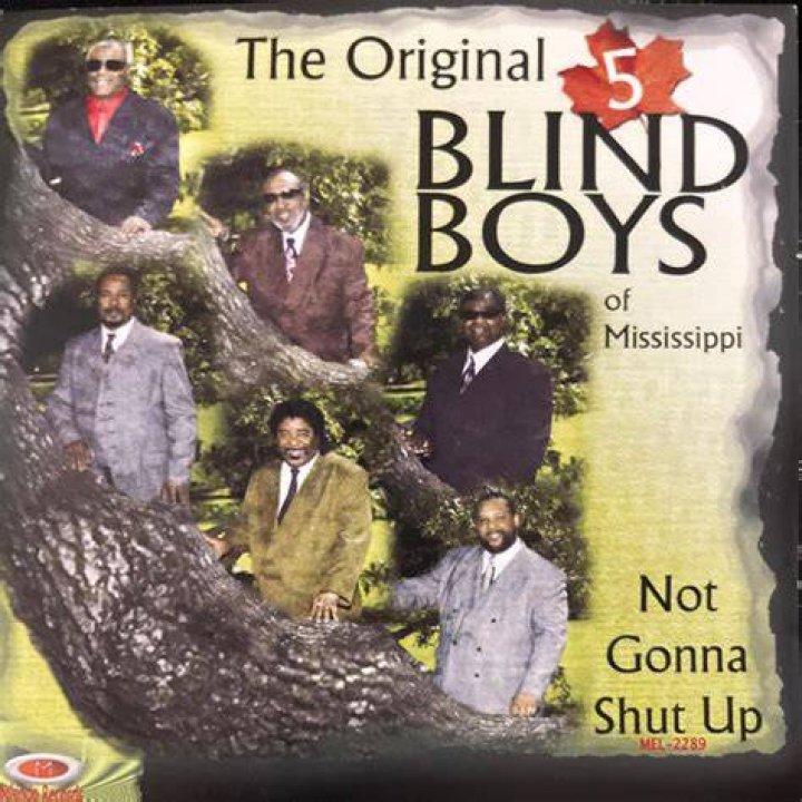 Five mississippi blind boys it could have been me lyrics