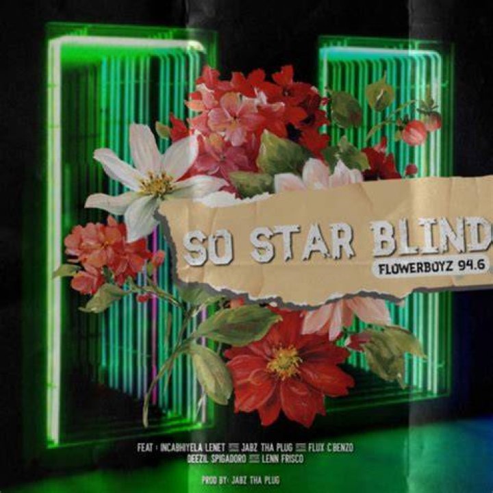 Flower Boyz W.O.S (World On Slow'mo) Lyrics
