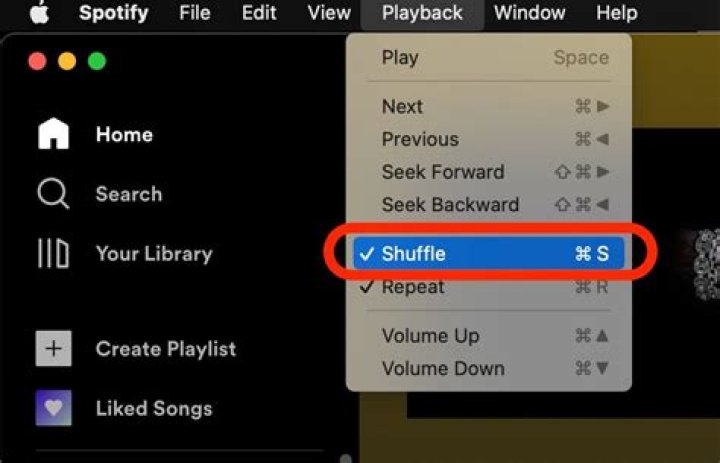 How to Turn Off Shuffle on Spotify