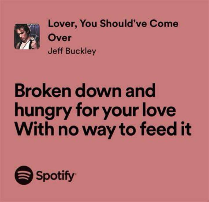 I am just a succker for love lyrics