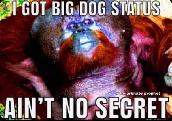 I got big dog status ain’t no secret lyrics