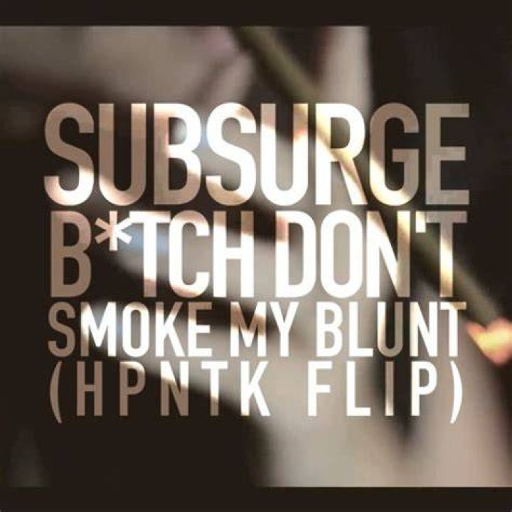 I just wanna smoke my blunt lyrics