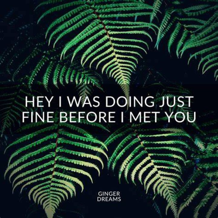 I was fine before i met you i was broken but fine lyrics