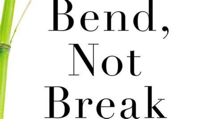 I will not bend i will not break lyrics