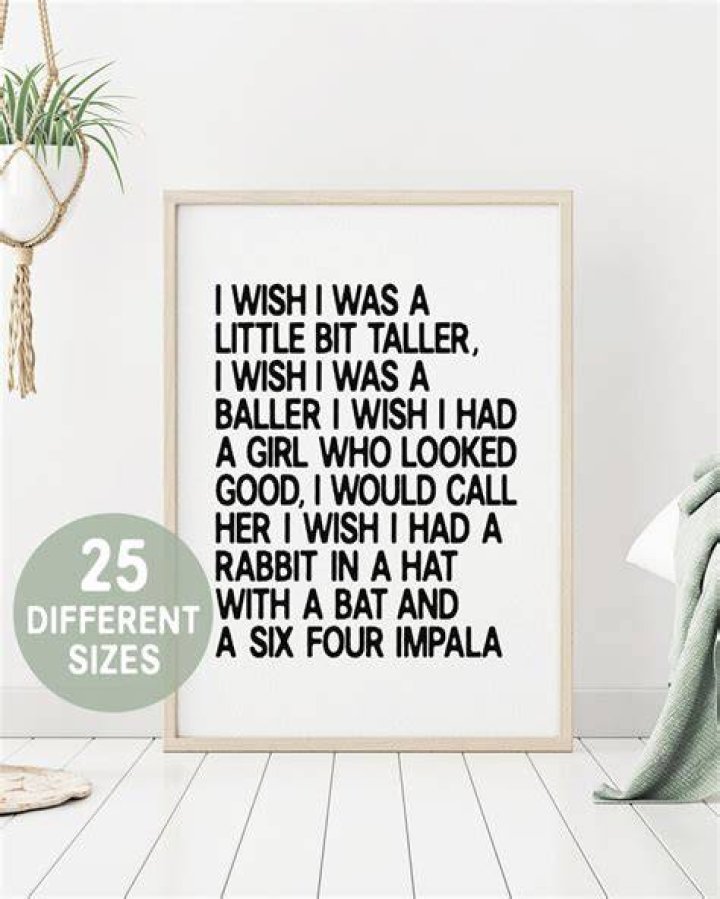 I wish i was a little bit taller lyrics