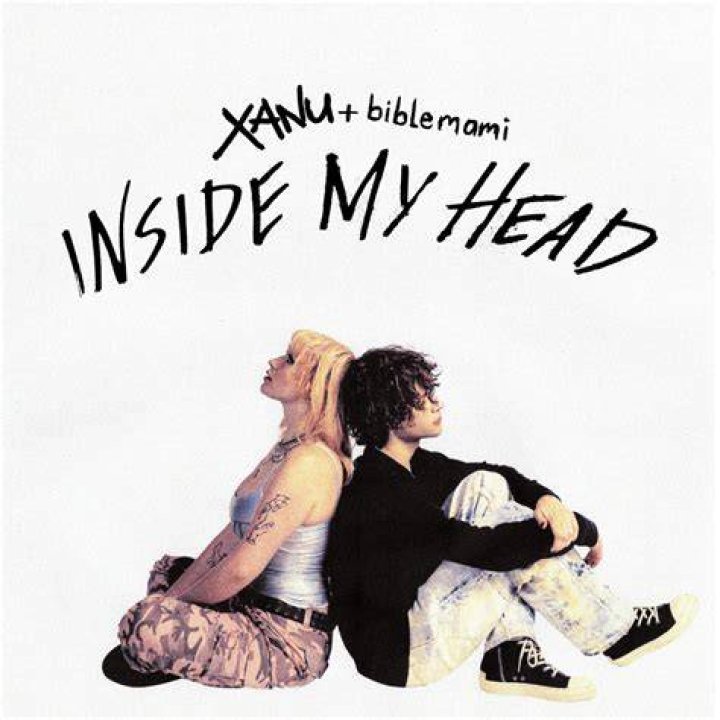 Inside my head you can see the loose screws lyrics
