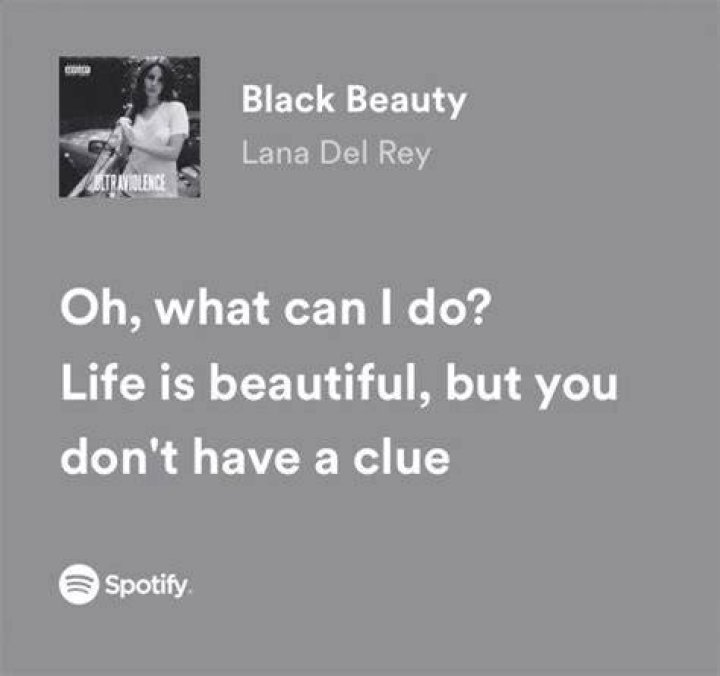 Lana Del Rey - Black Beauty Lyrics Meaning
