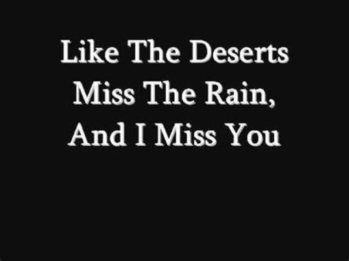 Like the desert miss the rain lyrics