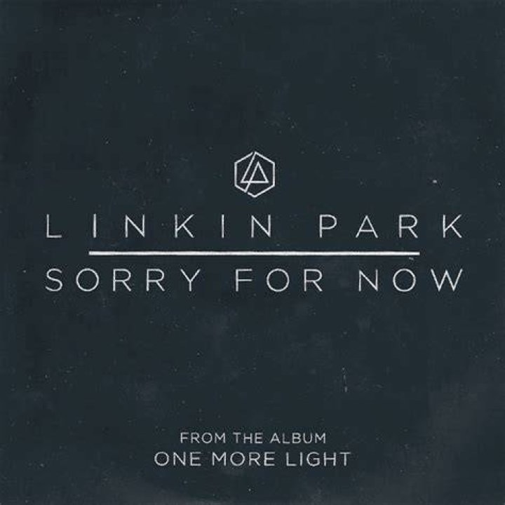 Linkin Park - Sorry For Now Lyrics Meaning