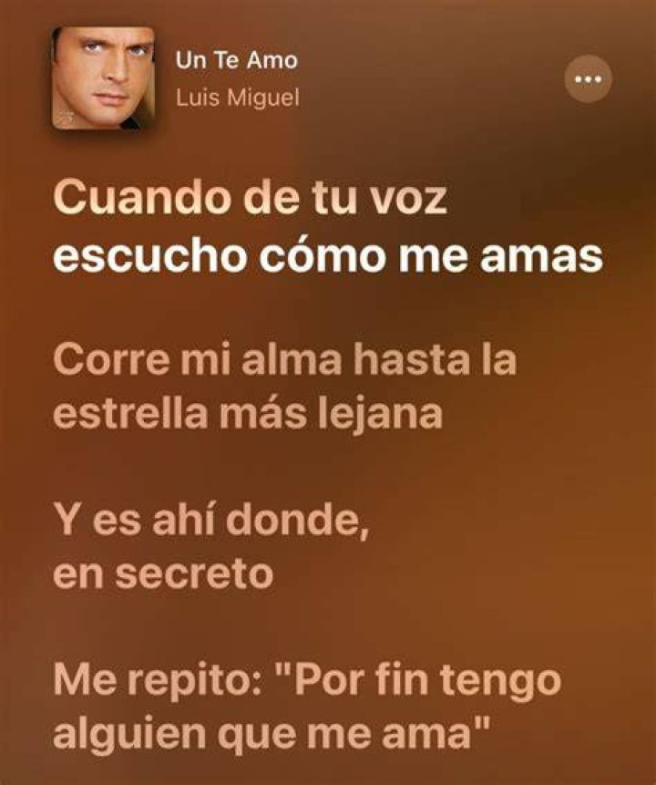 Luis Miguel Un te amo Lyrics English Translation