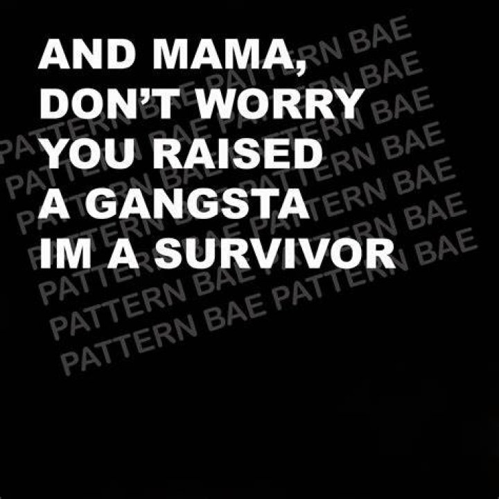 Mama dont worry you raised a gangsta i’m a survived lyrics