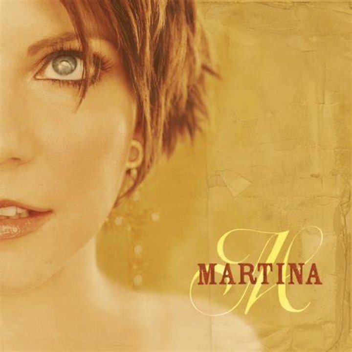 Martina McBride - God's will Lyrics Meaning
