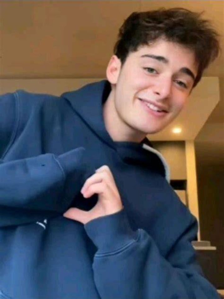 Noah Schnapp on TikTok Noah Schnapp on TikTok