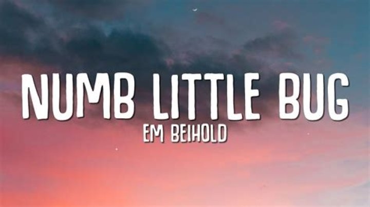 Numb little bug lyrics