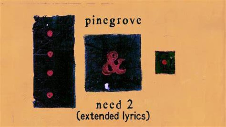 Pinegrove lyrics