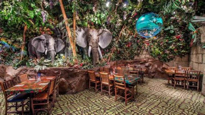 Rainforest Cafe Offers Wide Variety of Appetizers, Seafood, and More at Affordable Prices