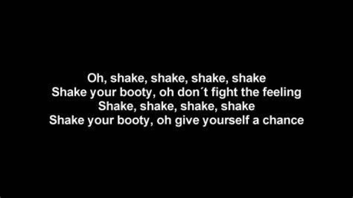 Shake shake shake your booty in your pants tonight. lyrics