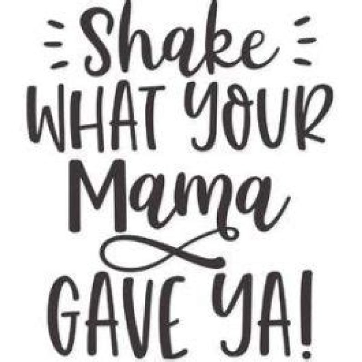 Shake what ya mama gave you lyrics