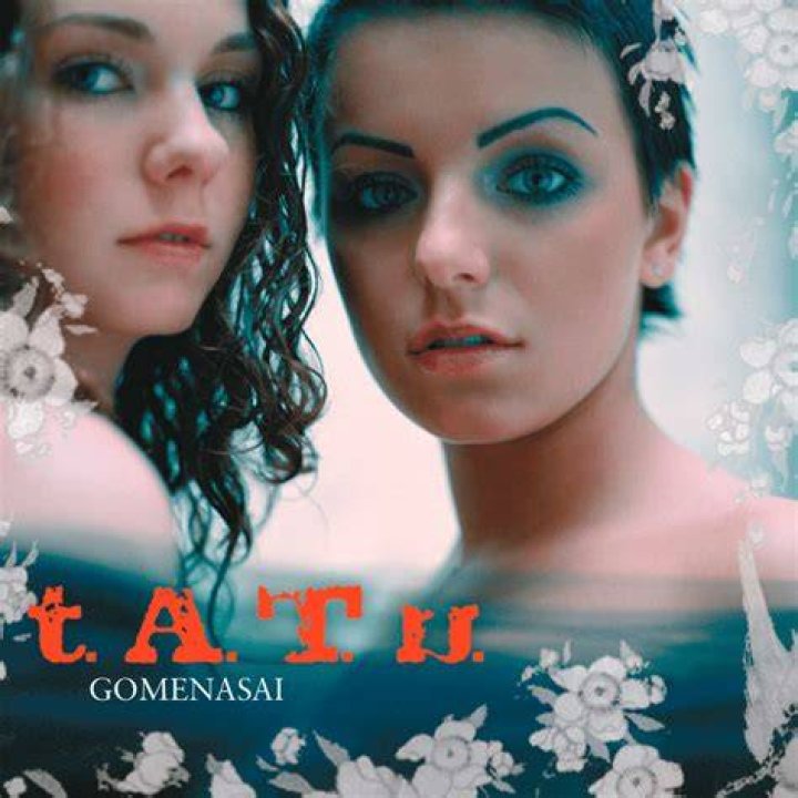 t.A.T.u. - Gomenasai Lyrics Meaning