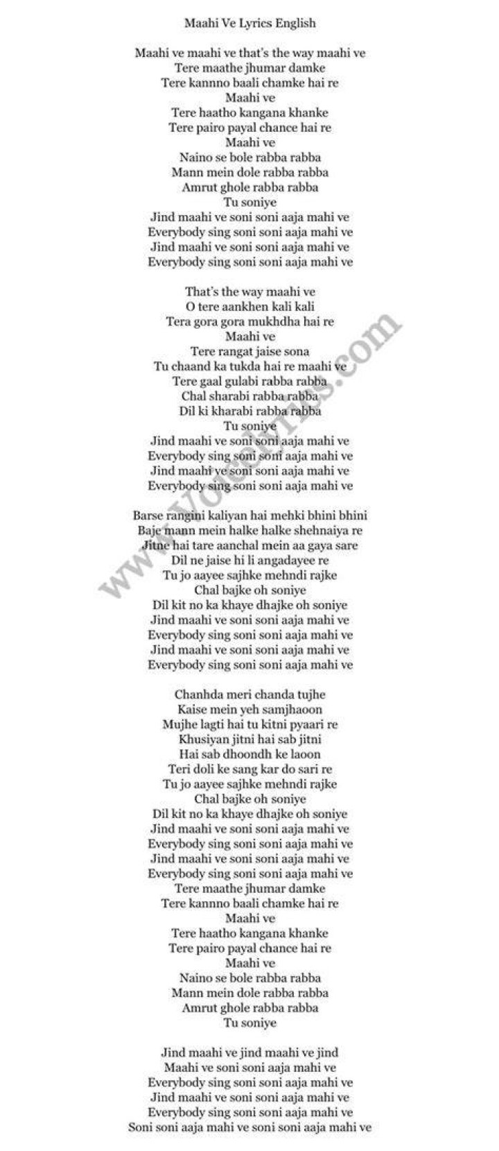 The Parrots Maldito Lyrics English Translation
