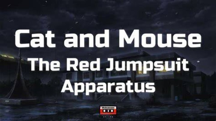 The Red Jumpsuit Apparatus - Cat and Mouse Lyrics Meaning