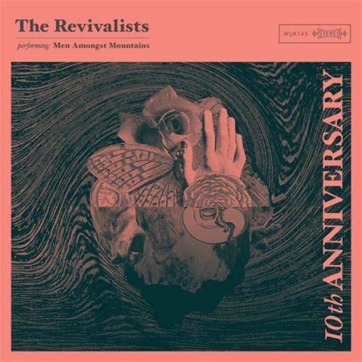 The revivalists alive song meaning lyrics