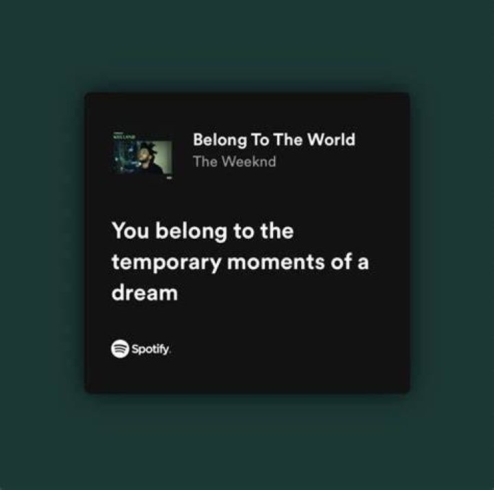 The Weeknd - Belong to the World Lyrics Meaning