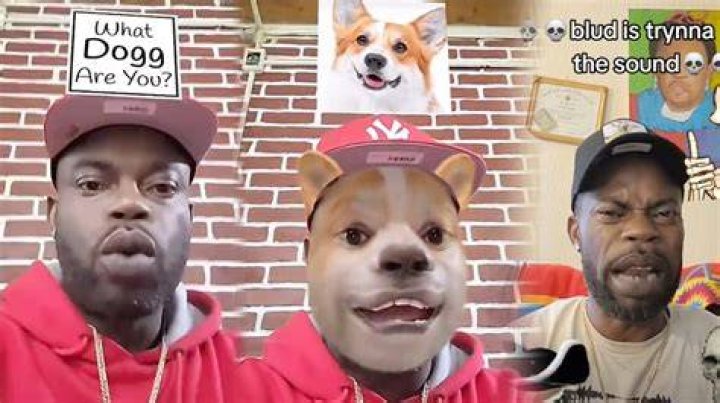 Which bombclaat dog i am lyrics