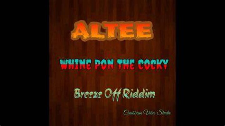 Whine pon di cocky non stop lyrics