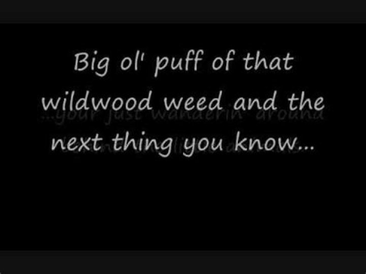 Wildwood weed lyrics
